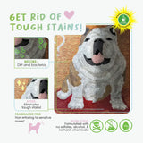 Multi-Purpose Odor Eliminator: Safe & Non-Toxic Formula, Fragrance-Free Spray for Pet Stains, Odor Removal, and Home Surfaces