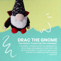 Drac the Gnome - Green Paw shop