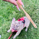 Durable Pet Travel Bundle