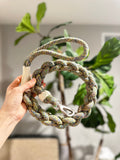 New: Handcrafted Olive Dog Leash | Sustainable |Stylish-3
