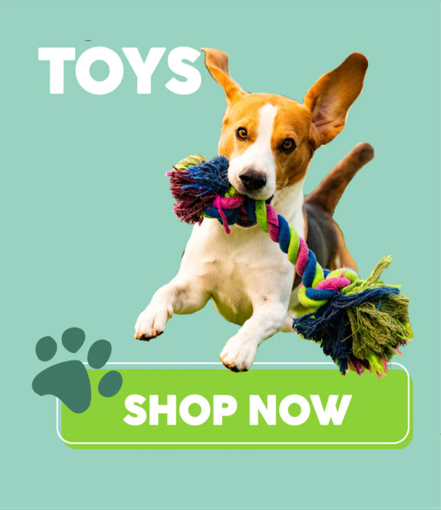 Green Paw shop