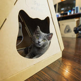 Tippy Peak Eco Pet House: 3 Double-Sided Scratch Boards, 100% Eco-Friendly, Non-Toxic, Sturdy, Easy to Build, Sustainable, Safe if Ingested, No Formaldehyde, Biodegradable, Compostable, for Cats, Bunnies & Small Animals